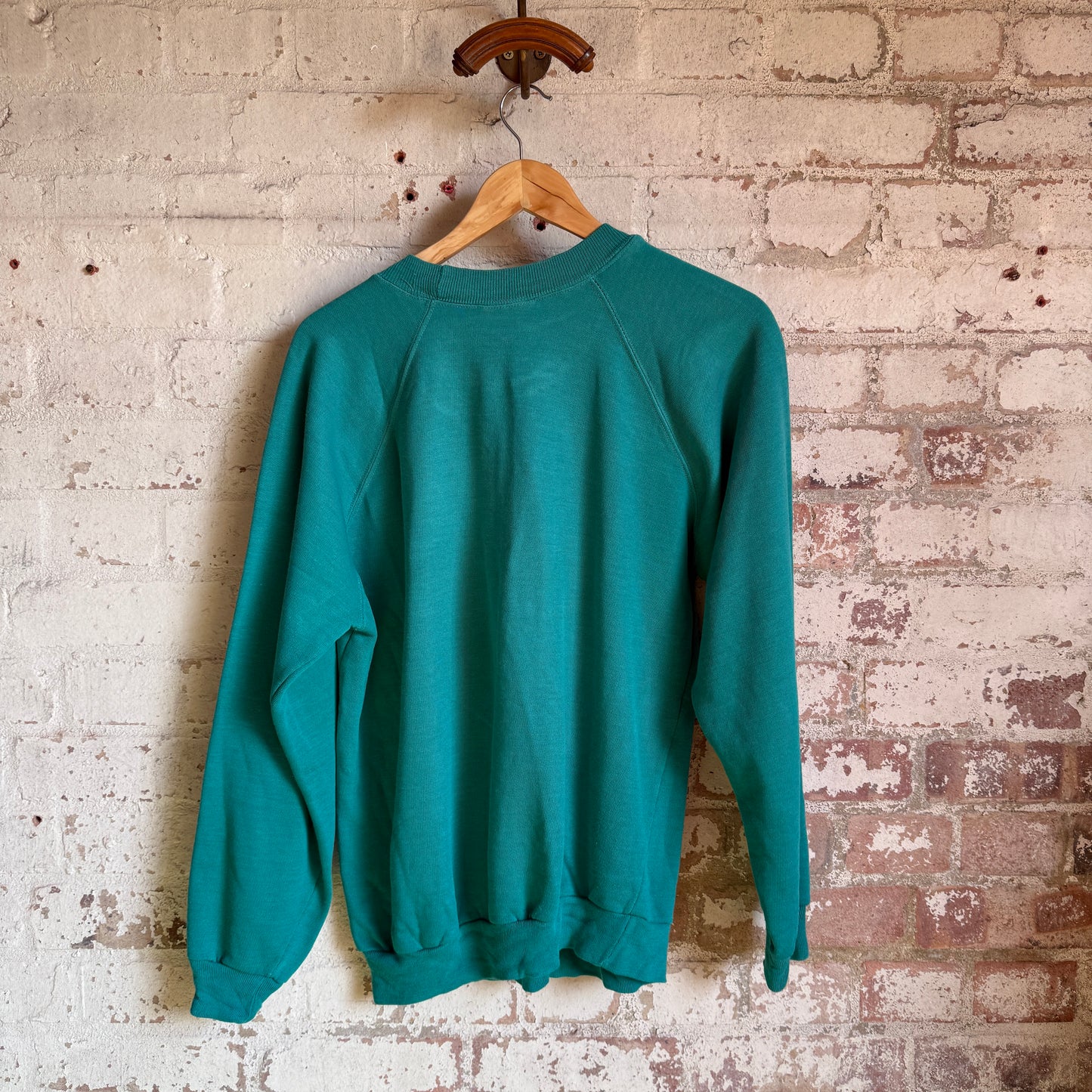 1990s Turquoise Badger Graphic Sweatshirt