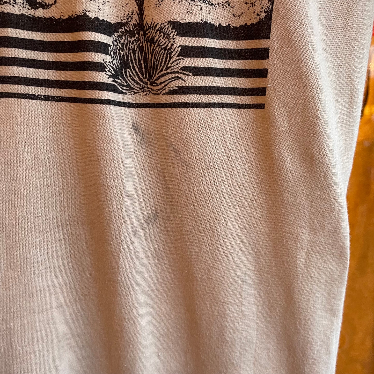 1970s Beige Brown Nature Graphic Ringer T-shirt