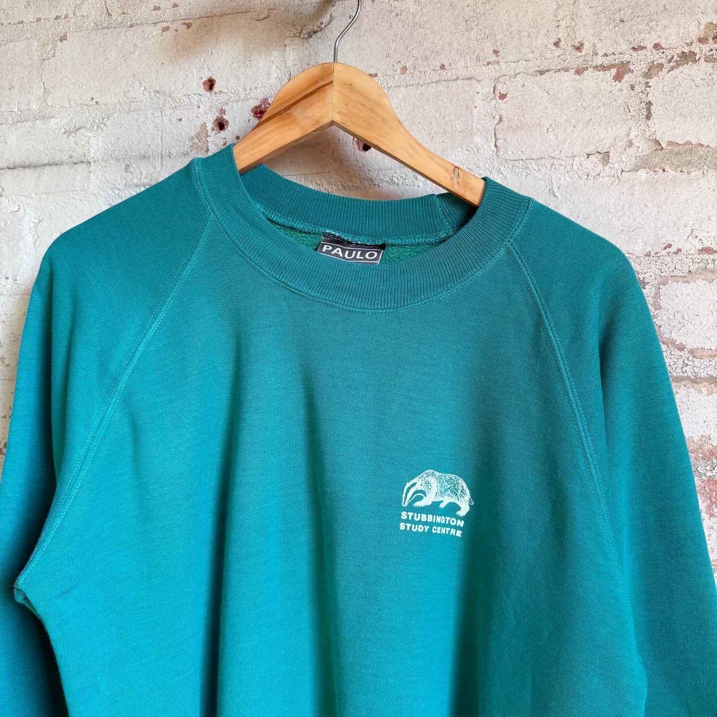 1990s Turquoise Badger Graphic Sweatshirt