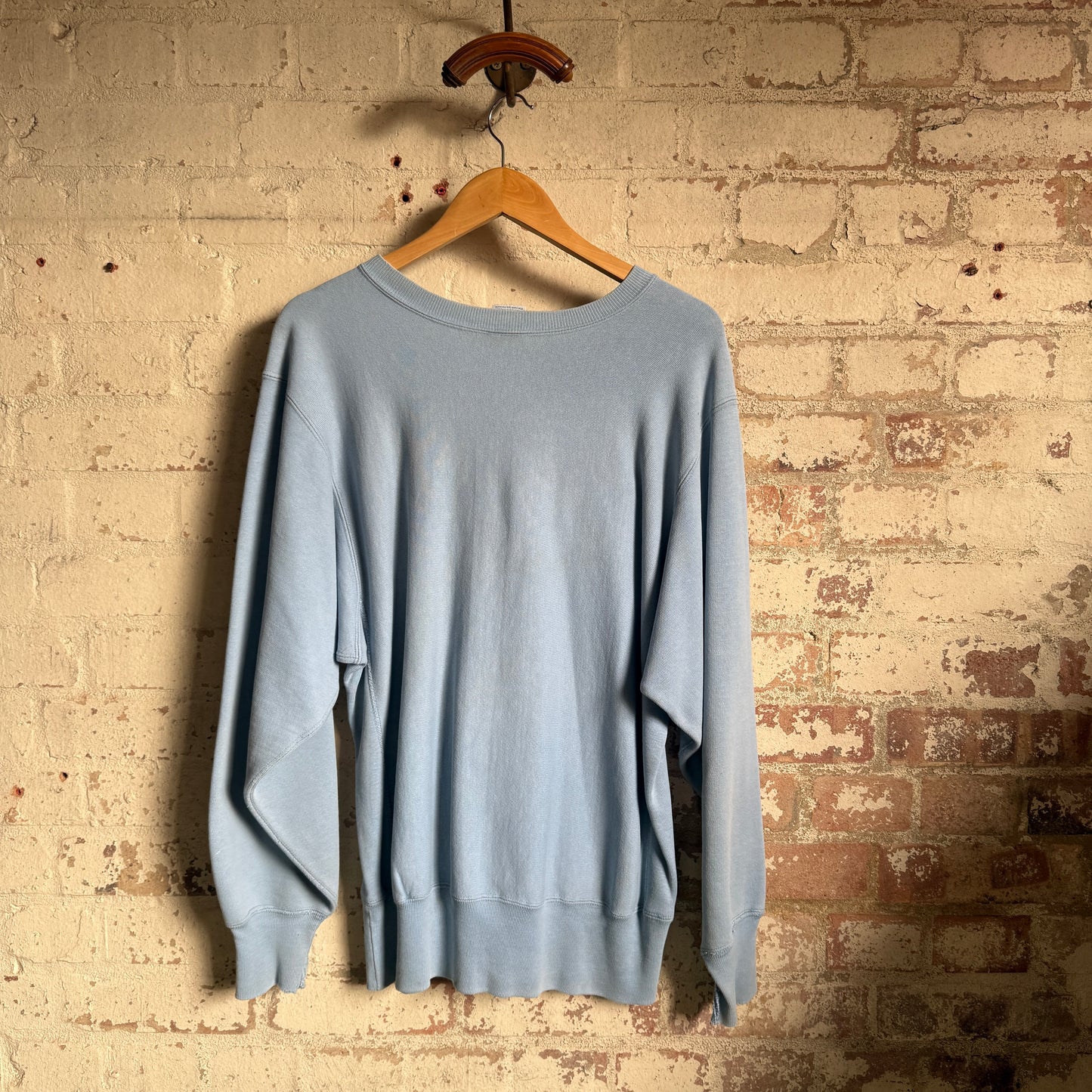 1990s Baby Blue Champion Reverse Weave Sweatshirt